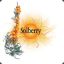 soLbeRRy
