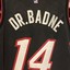 Dr. Badne