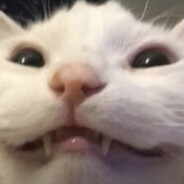 rikz4tw avatar