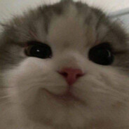meatball