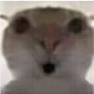 目光所及皆是你