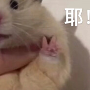 【阿萨拉的王】赛伊德