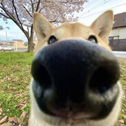 Билдер - steam id 76561199147048042