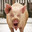 BRNYRD_ANML's Avatar