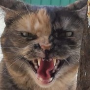 CagaFogo