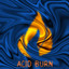 AcidBurn