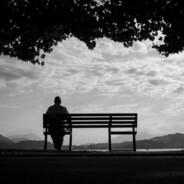 我骑着猪看日出