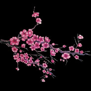 Avatar of MakotoTakahashi
