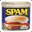 SpAm