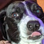 Vashables.'s avatar