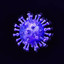 Chronovirus
