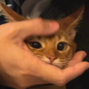 ☂゛𝙉𝙪𝙮𝙊𝙖𝙝