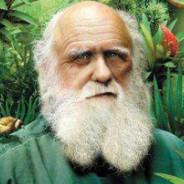 达尔文发现莫桑比克