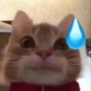 cc（毕加索版）