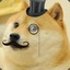 SIR_DOGE