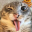 NyanCat