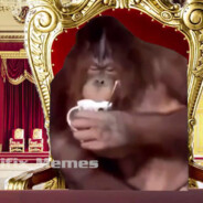 ЧВК Monke