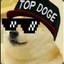 TOP DOGE