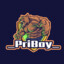 _PriBoy_