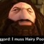 HaGrId