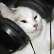 重生之酷拽冷少