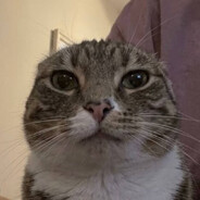 ToshikO
