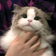 𝓜𝓨 𝓛𝓸𝓿𝓮.ᰔᩚ