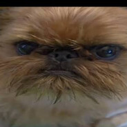 spice after all - steam id 76561198338668289