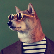 🌞白日梦想家💤