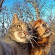 战无不胜的毛泽东思想