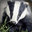 badger