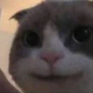 扫黑调查组NiuMa