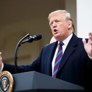 守护最好的川宝