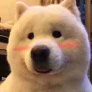 大哥别杀我