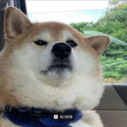 开银趴不叫我是怎么事