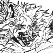 华丽雨林枪杀案