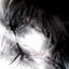 Avatar of player alozes