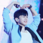 斯蒂兰特小黄牛