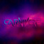 Carnivore