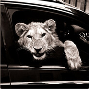 parasite - steam id 76561198238991326