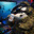 orca