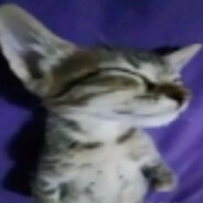 Cricko