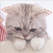 想想还是算了吧