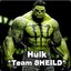 Hulk *Team SHIELD*