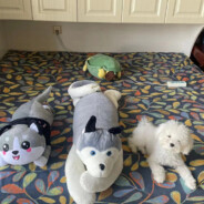 翻斗花园大耳朵图图