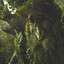 ScarVine