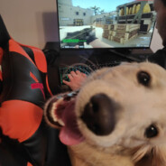 Buga^_^ - steam id 76561199107080680