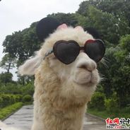 詹姆斯特朗咪斌斗