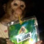 MonkeyOnDrugs