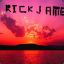 {SIN}RickJames